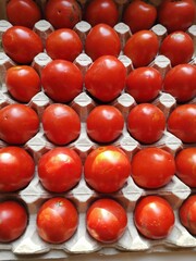tomatoes in the egg tray
