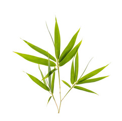 Naklejka premium bamboo leaves isolated on white background