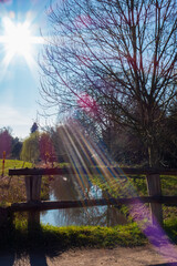 Sonnenstrahlen auf einer Brücke über einem Bach im Frühjahr