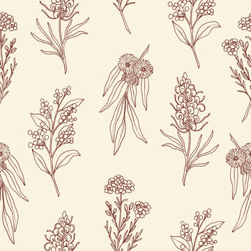 Hand Drawn Australian Native Flowers Seamless Pattern