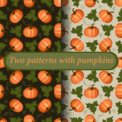 A set of two bright colorful patterns. Ripe pumpkin fruits with leaves. Thanksgiving Day. Vector.