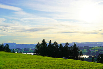 Panorama landscape in the Allgäu in Bavaria. Nature with mountains, meadows and forests.