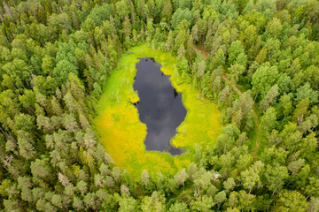 Lake in the middle of the forest