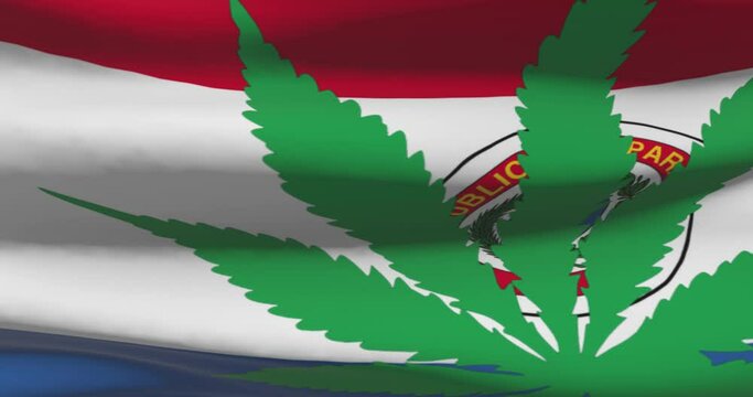 Paraguayan national flag with cannabis leaf. Legal status of medical marijuana in country. Paraguay government and THC. Social issue, politics, criminal and law news about weed