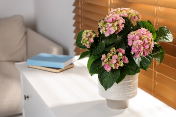 Beautiful pink hortensia flowers in vase on white table indoors. Space for text