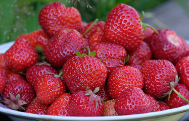 Plate with fresh and juicy strawberries