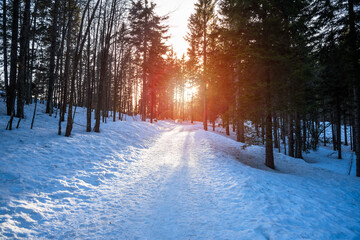 Deserted snow covered path through a forest in the mountains at sunset. Lens flare.
