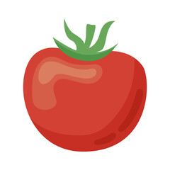 fresh tomato vegetable