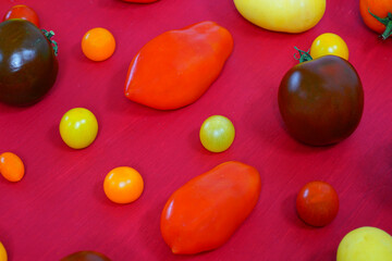 Colorful yellow and red heirloom tomatoes arranged on a red background
