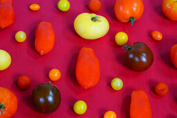 Colorful yellow and red heirloom tomatoes arranged on a red background