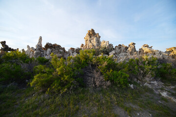 Mono Lake Tufa