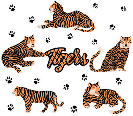 Fototapeta na wymiar Set of cute tigers. Hand-drawn animals. Trendy vector illustration. 