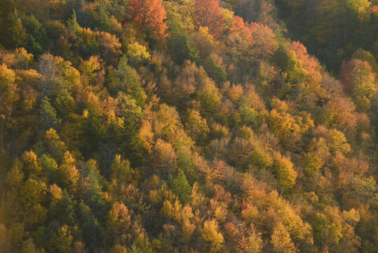 west viginia autumn