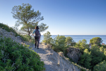 Hiker walking along narrow path that is in a forest by the sea on the cliffs of Maro Cerro Gordo