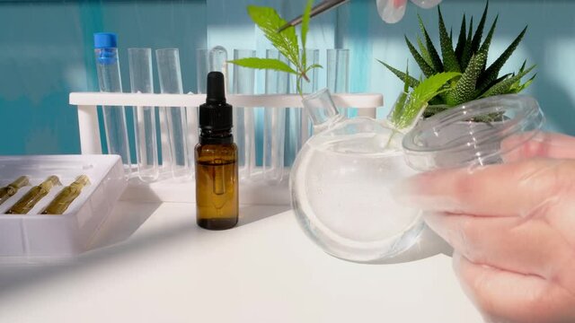 medical marijuana laboratory scientific research, green cannabis plants, extract production concept, cannabidiol oil, drug trafficking, people drug addiction problems