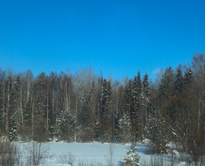 Beautiful winter panorama - landscape with snow and forest. Panoramic view on a sunny day.