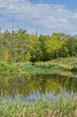 Pylypow Wetlands on a Late Summer Day