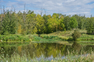 Pylypow Wetlands on a Late Summer Day