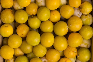 Ripe yellow plums with leaves. Harvest fruit from the garden in a box.