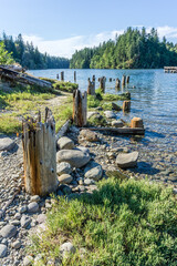 Woodard Bay Old Pilings 5