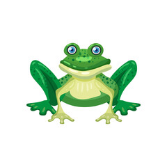 Cute frog green color, sitting, animal amphibian, icon. Vector illustration cartoon style isolated