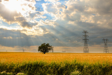 Obraz premium selective focus, electricity pole providing electric current to Tekirdag regions of Turkey. Modern and large pole that supplies electricity to different towns and villages in the area.