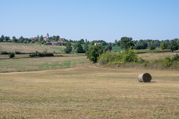 Botte de foin et vue sur le village de Thezac, village viticole, Lot et Garonne, Sud ouest - 456777647