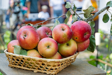 apples in a basket