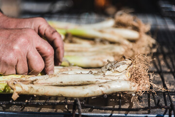 Preparacion of grilled tender onions mediterranean (Calçots, Catalonia, Spain)