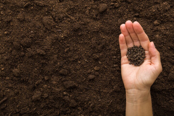 Young adult woman hand pouring black granules of chicken manure on dark brown soil. Closeup. Product for root feeding of vegetables, flowers and plants. Empty place for text. Top down view.