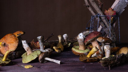 Forest mushrooms lie on a wooden table
