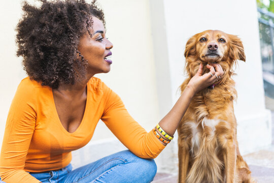 African american girl with curly hair sitting outdoor stroking his dog - Concept of animal lovers and pet care