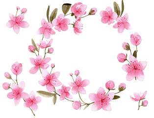 Naklejka na ściany i meble watercolor drawing set with sakura flowers. pink flowers sakura, cherry, apple tree isolated on white background. elements and wreath