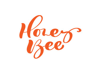 Honey Bee calligraphy vector lettering text. Bee hand lettering word in orange color isolated on white background. Concept for logo card, typography poster, print