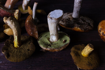 Forest mushrooms lie on a wooden table