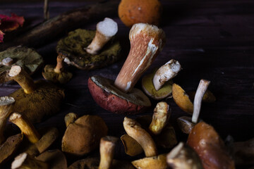 Forest mushrooms lie on a wooden table