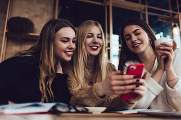 Cheerful female friends using smartphone while resting in cafe