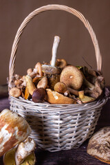 Forest mushrooms lie on a wooden table