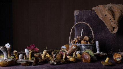 Forest mushrooms lie on a wooden table