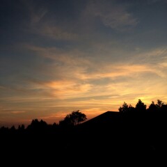 sunset in the forest