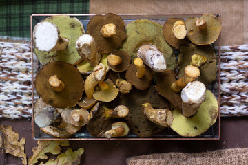 Forest mushrooms lie on a wooden table