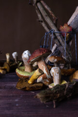 Forest mushrooms lie on a wooden table