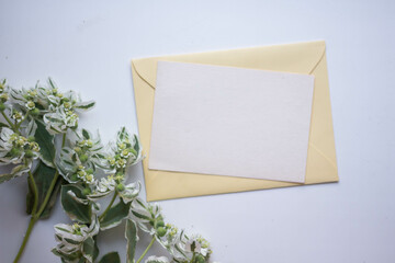 invitation card mockup  with sedum. 
deciduous plants with white and green leaves. flowers