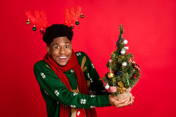 Portrait of attractive cheerful guy holding in hands fir tree having fun day decor tradition...