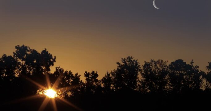 sunrise behind trees with crescent moon rising