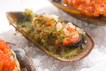 Seafood au gratin with herbs and Neapolitan seafood