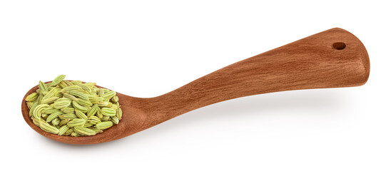 Dried fennel seeds in wooden spoon isolated on white background with clipping path and full depth of field