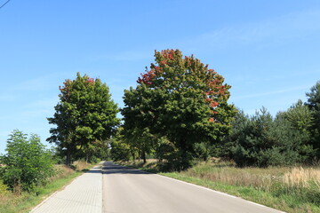 Fototapete bei efototapeten.de bestellen   