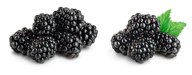 blackberry with leaf isolated on a white background closeup with full depth of field. Set or collection