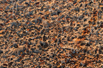 Marine textured background of crushed sea shells and sand.